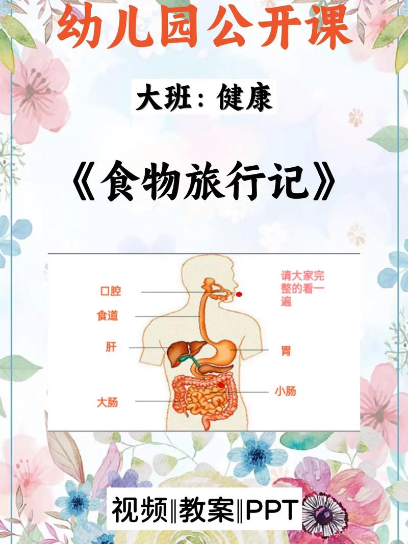 探寻天然食材的奥秘：从田园到餐桌的健康之旅