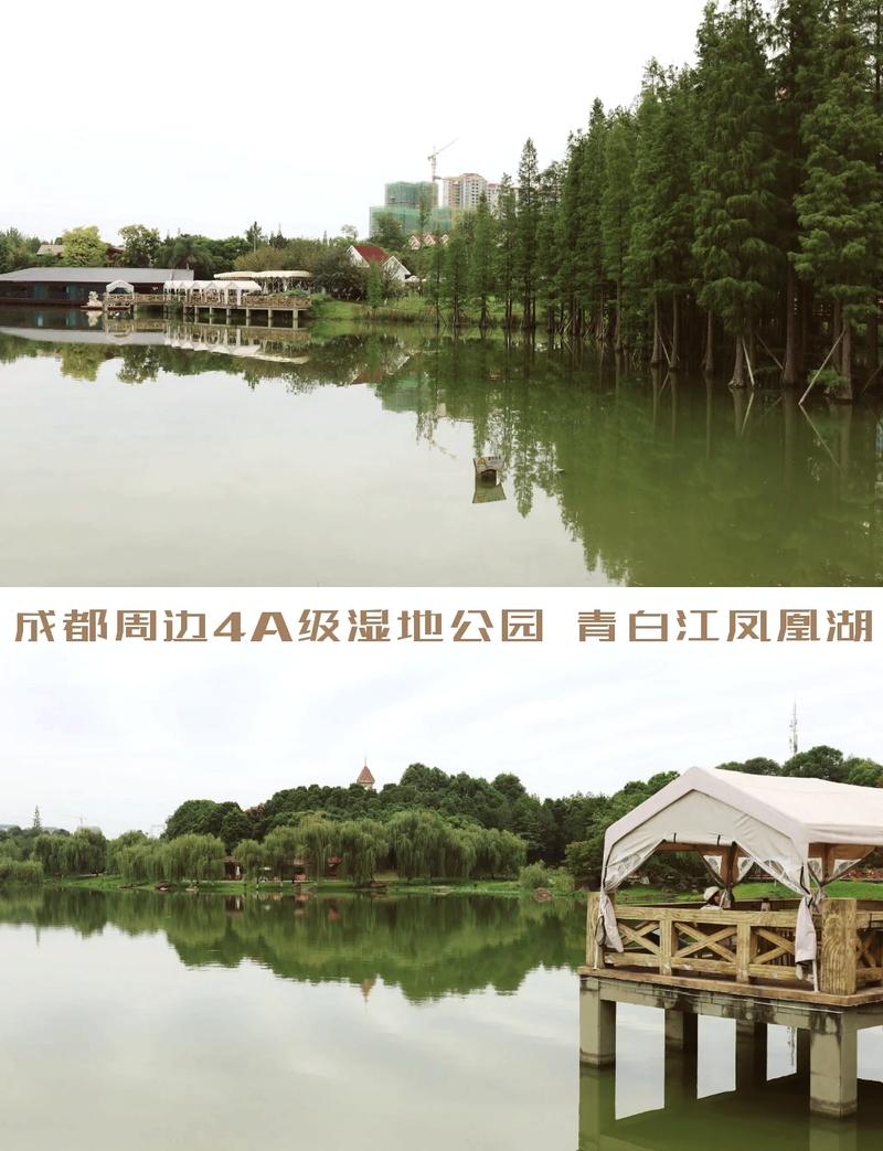 详细阅读:青白江凤凰湖:生态与文化的交融之旅 青白江凤凰湖:生态与文化的交融之旅