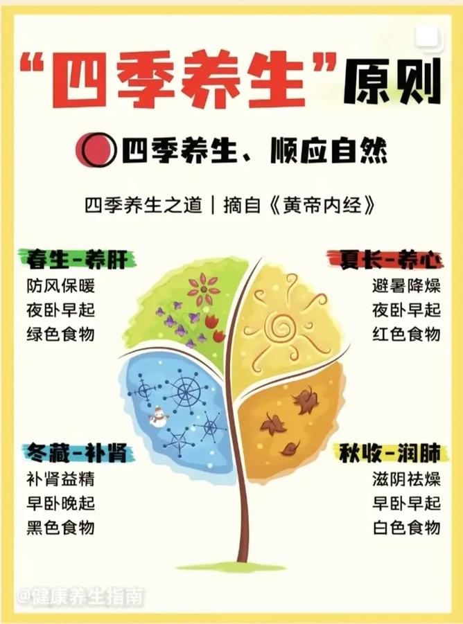 四季养生全攻略：顺应自然，呵护身心