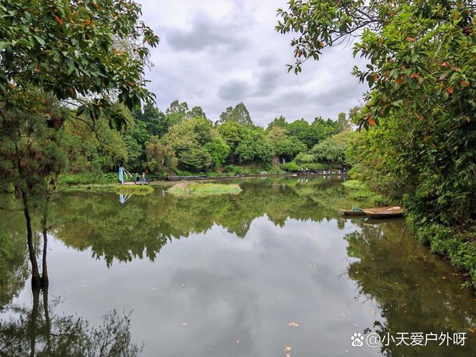 锦城湖湿地公园：成都的绿色心脏与休闲胜地