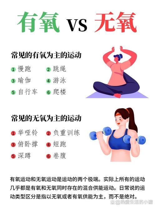 有氧运动：开启健康活力新篇