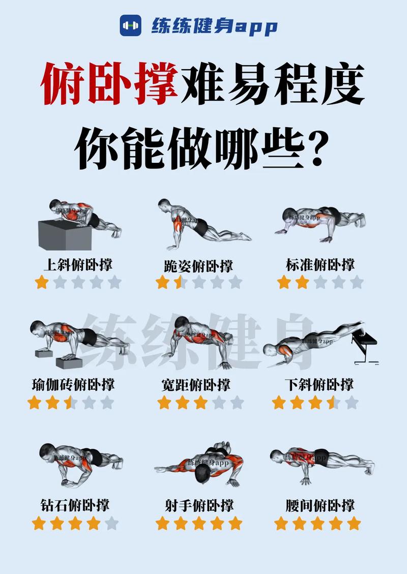 详细阅读:俯卧撑训练:全面解析与进阶指南 俯卧撑训练:全面解析与进阶指南