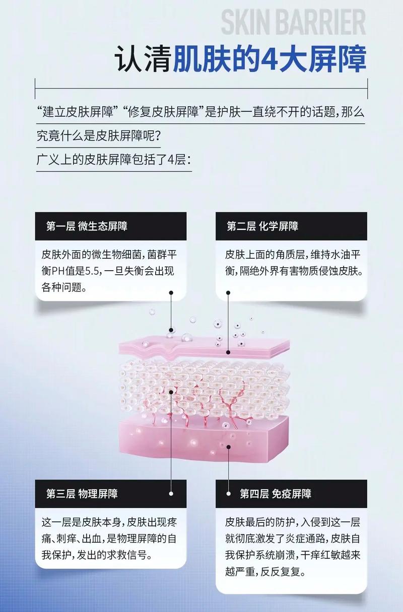 神经酰胺——皮肤屏障的修复利器：从科学到实践的全面解析