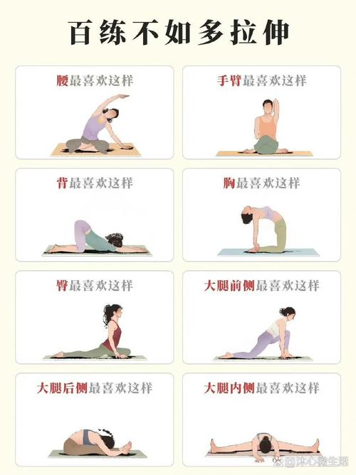 全面解析拉伸动作：原理、分类、益处与实践要点