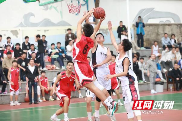运动俱乐部：挥洒汗水，绽放青春
