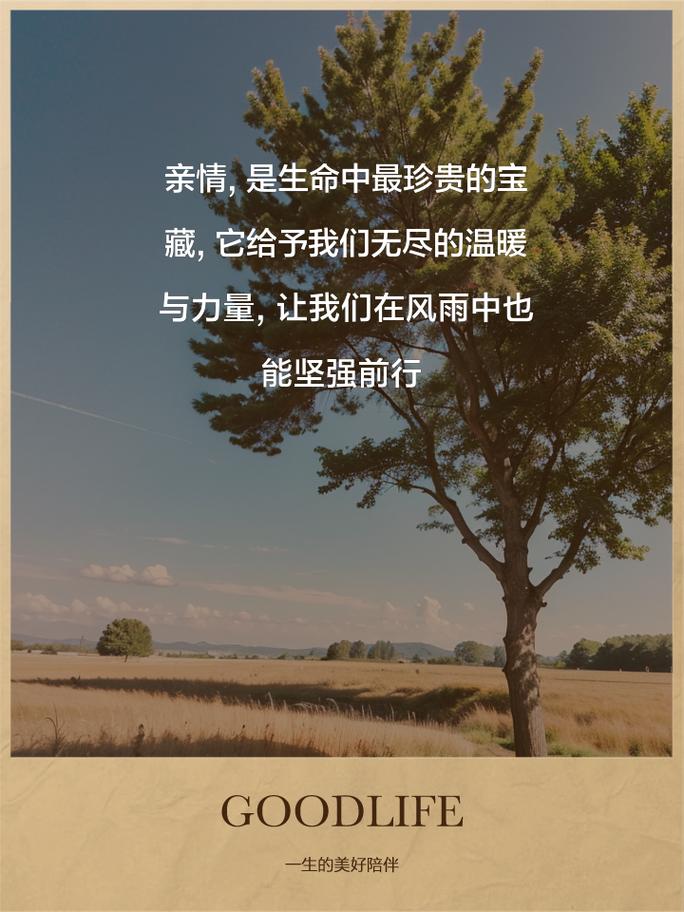 亲情支持：生命中最温暖的力量