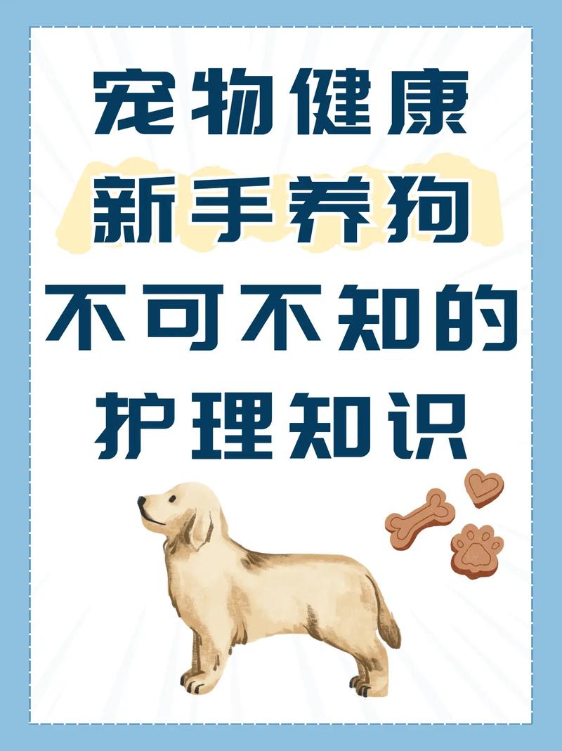 宠物健康检查：爱宠健康的守护之道