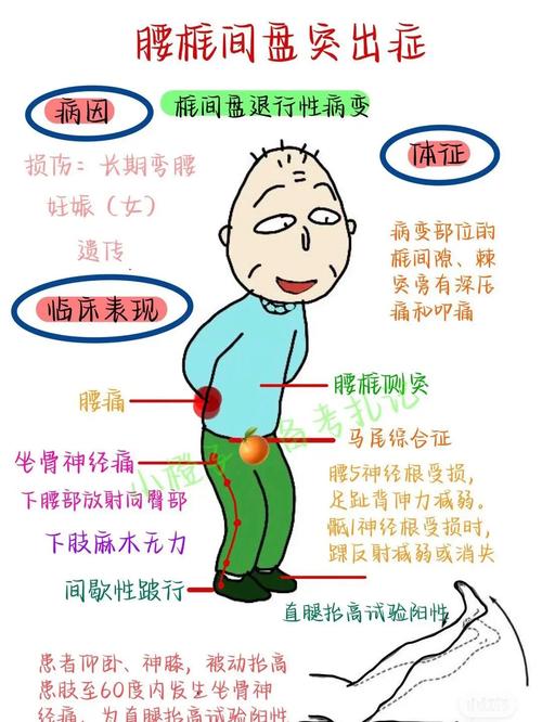 腰椎病：了解与防治