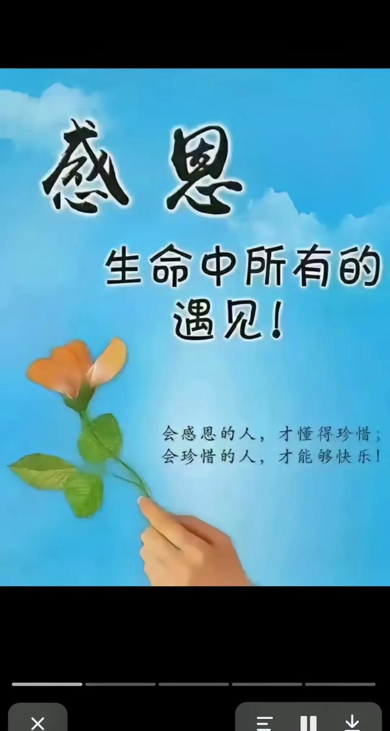 心怀感恩，让生活绽放温暖光芒
