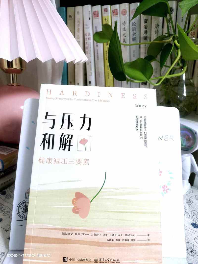 详细阅读:掌控压力:合理调控,解锁生活新姿态 掌控压力:合理调控,解锁生活新姿态
