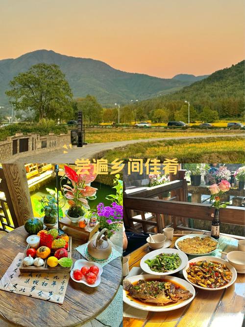乡村之旅：邂逅田园的诗意与温情