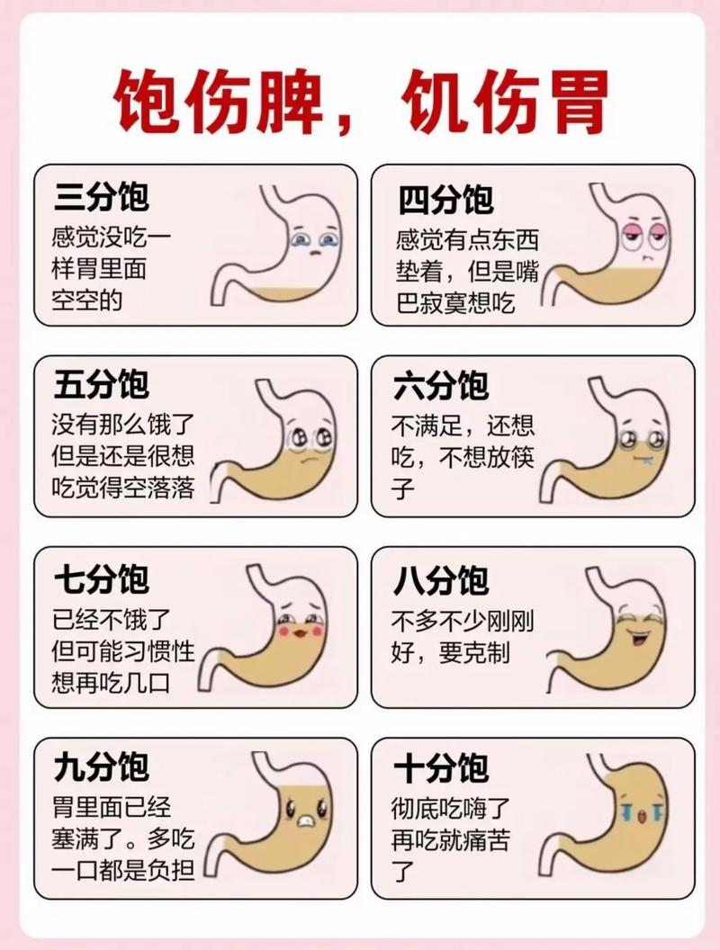 探秘饱腹感：从生理机制到生活智慧的多维解析