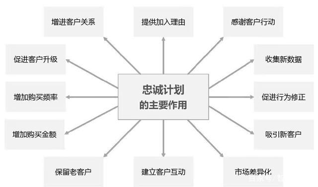美容行业品牌忠诚度计划效果深度剖析