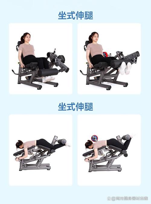 健身器材：开启高效健身之旅的得力助手