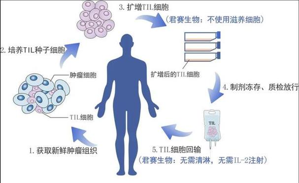现代医学治疗方法的多样性及其应用