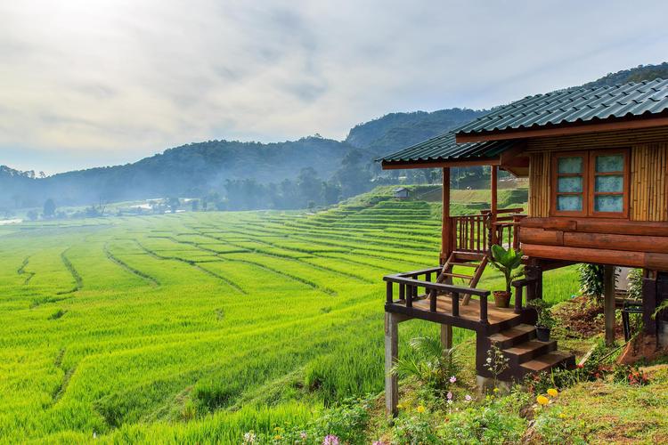 乡村旅游：一场回归自然与心灵的奇妙之旅