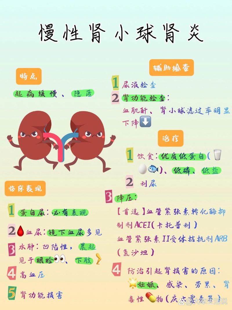 肾炎：了解、预防与治疗全攻略