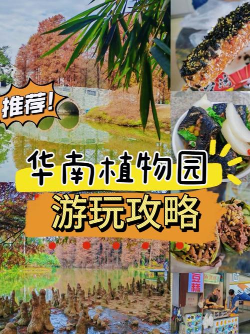 华南植物园——探索植物世界的奇妙之旅