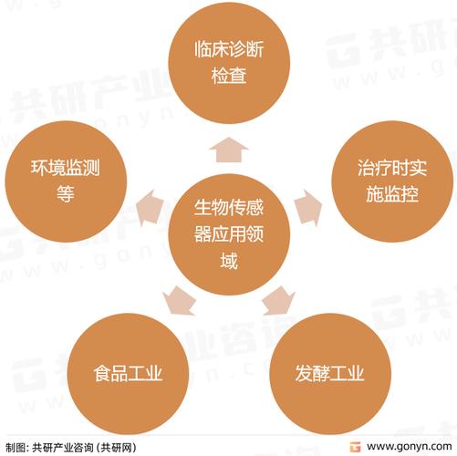 生物传感器：原理、应用与未来发展