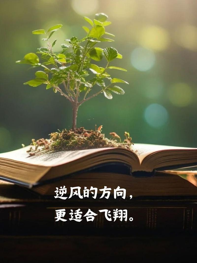 自信的养成：开启人生蜕变之旅