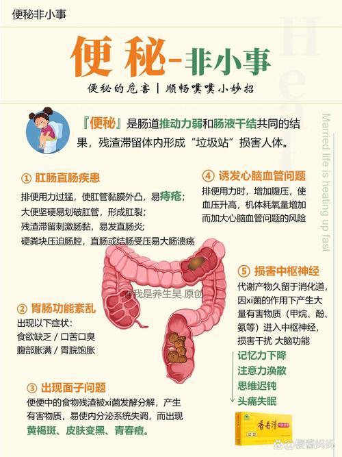 便秘的治疗与预防