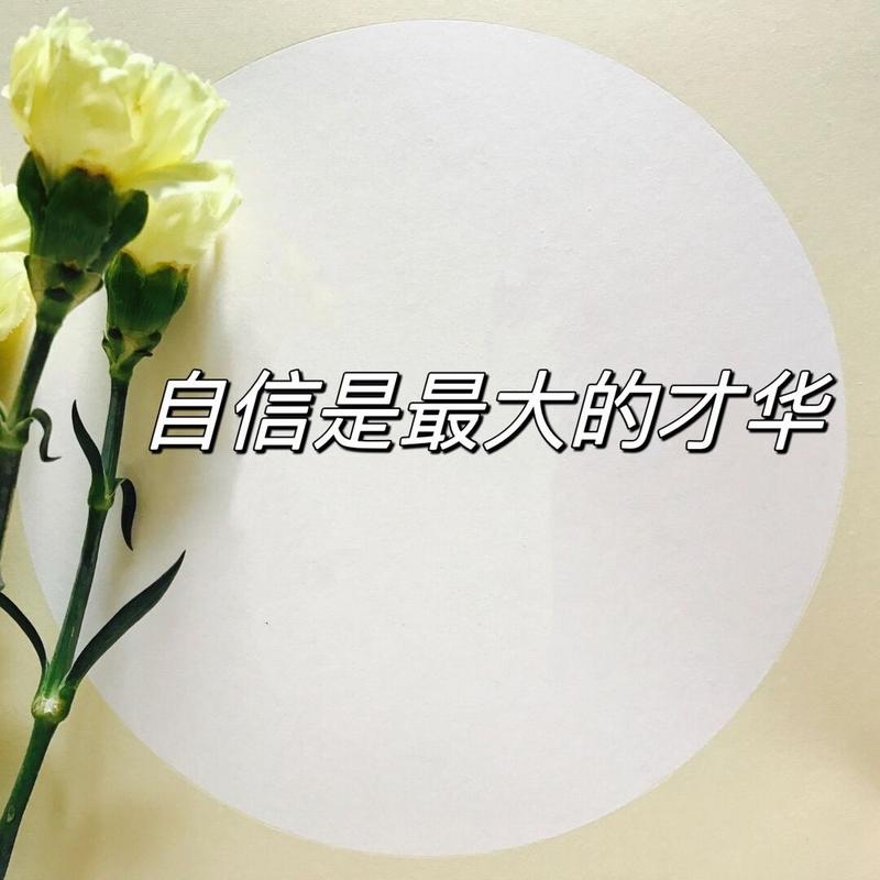 自信的才华