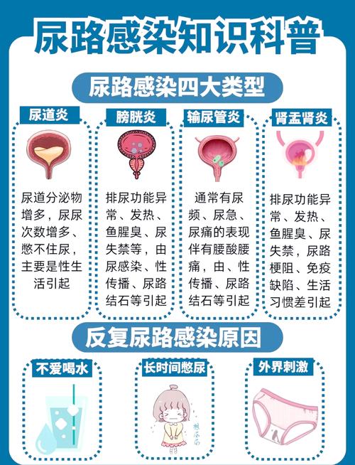 尿路感染：全面解析治疗方法与日常护理
