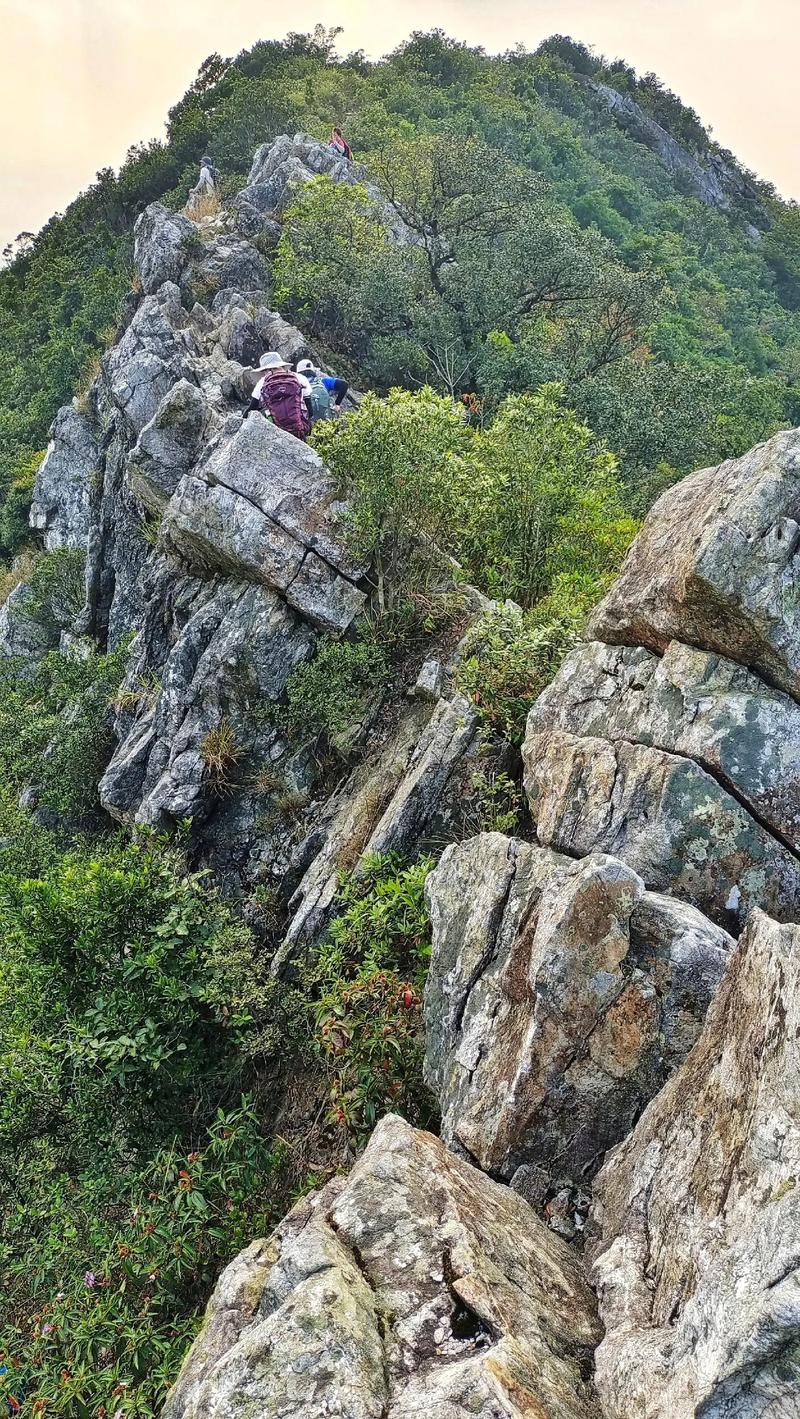 排牙山：深圳的神秘巨齿，自然与挑战的完美交融