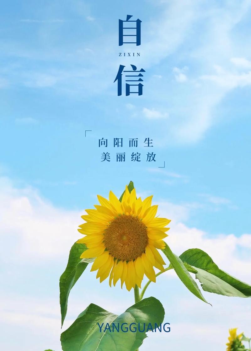 自信的绽放光芒