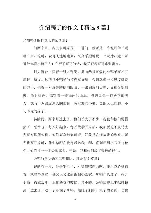 以下是一份关于鸭肉末的文章：