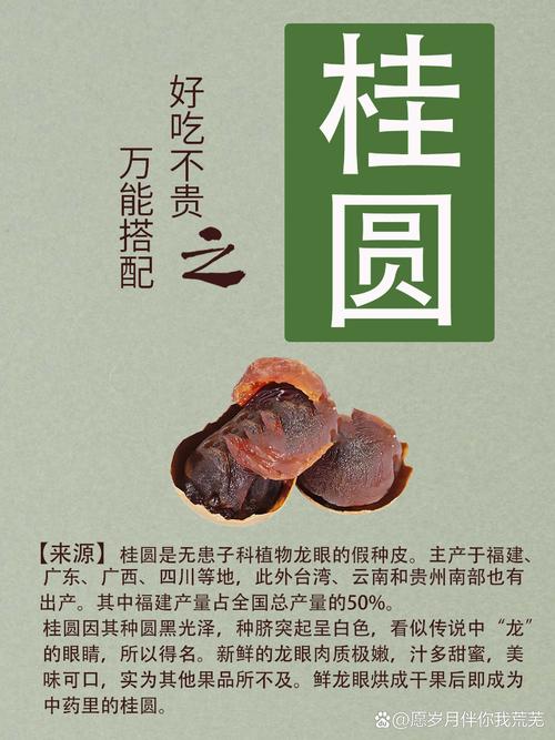 桂圆末：传统滋补品的奇妙之旅