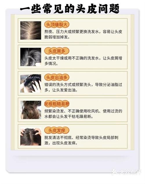 遗传性脱发的全面解析与头皮护理策略