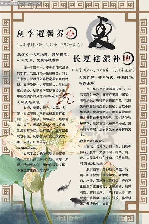 夏日安康：夏季养生全攻略，解锁健康活力新“鲰”味