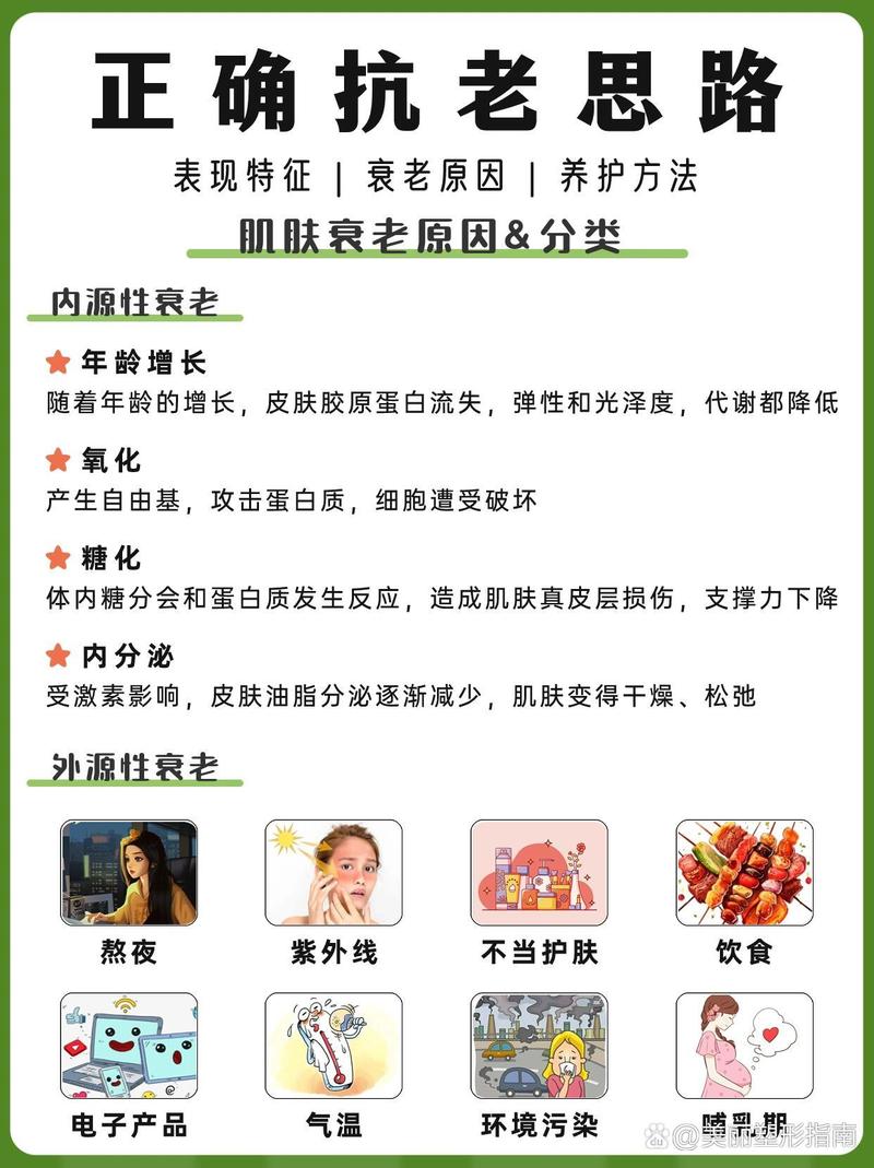 全面解析抗氧化养生方法：守护健康，延缓衰老