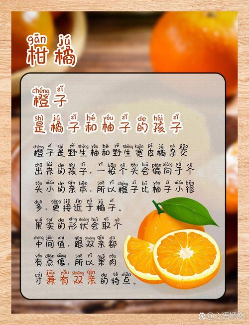 橙香四溢：探寻橙子干的奥秘与魅力