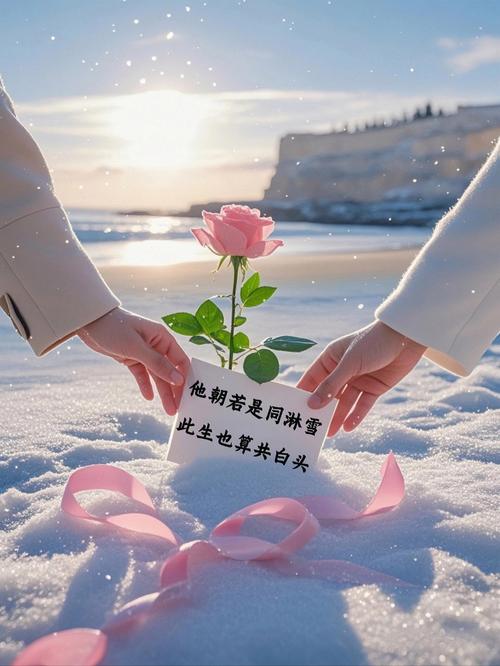 婚姻：一场爱的旅程，携手相伴的诗篇