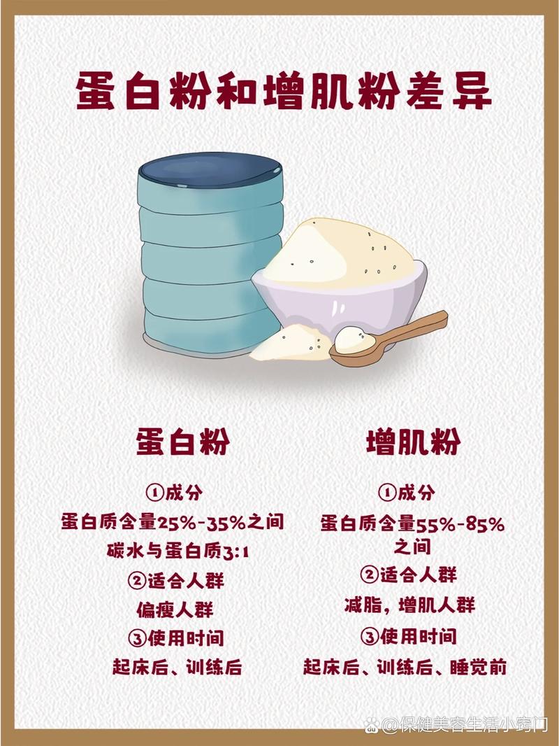 蛋白粉的选择与使用：全面指南，助你科学增肌减脂