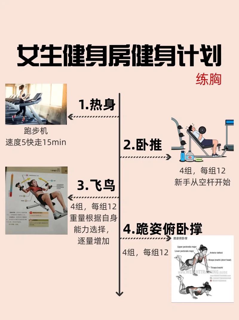 详细阅读:女性健身:科学与艺术的融合,注意事项全解析 女性健身:科学与艺术的融合,注意事项全解析