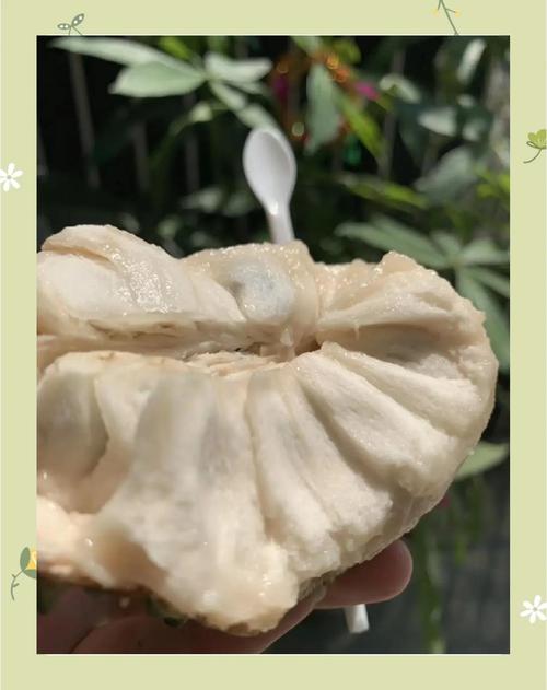 释迦果酱：甜蜜的味蕾之旅