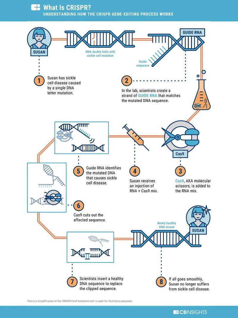 CRISPR：基因编辑的“神奇剪刀”与应用前景