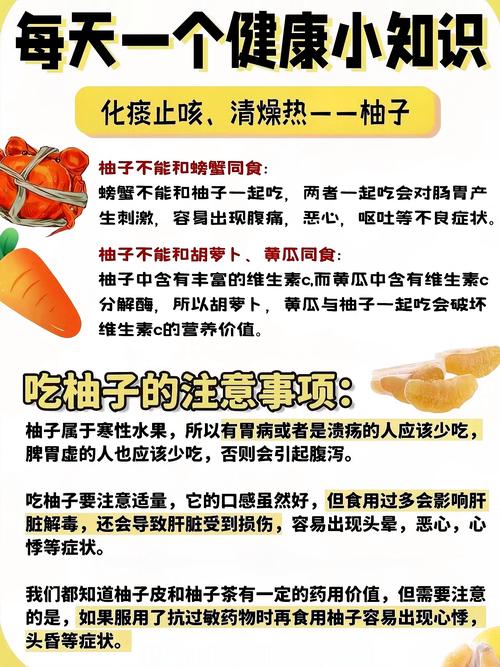 柚子醋：酸甜滋味中的健康宝藏