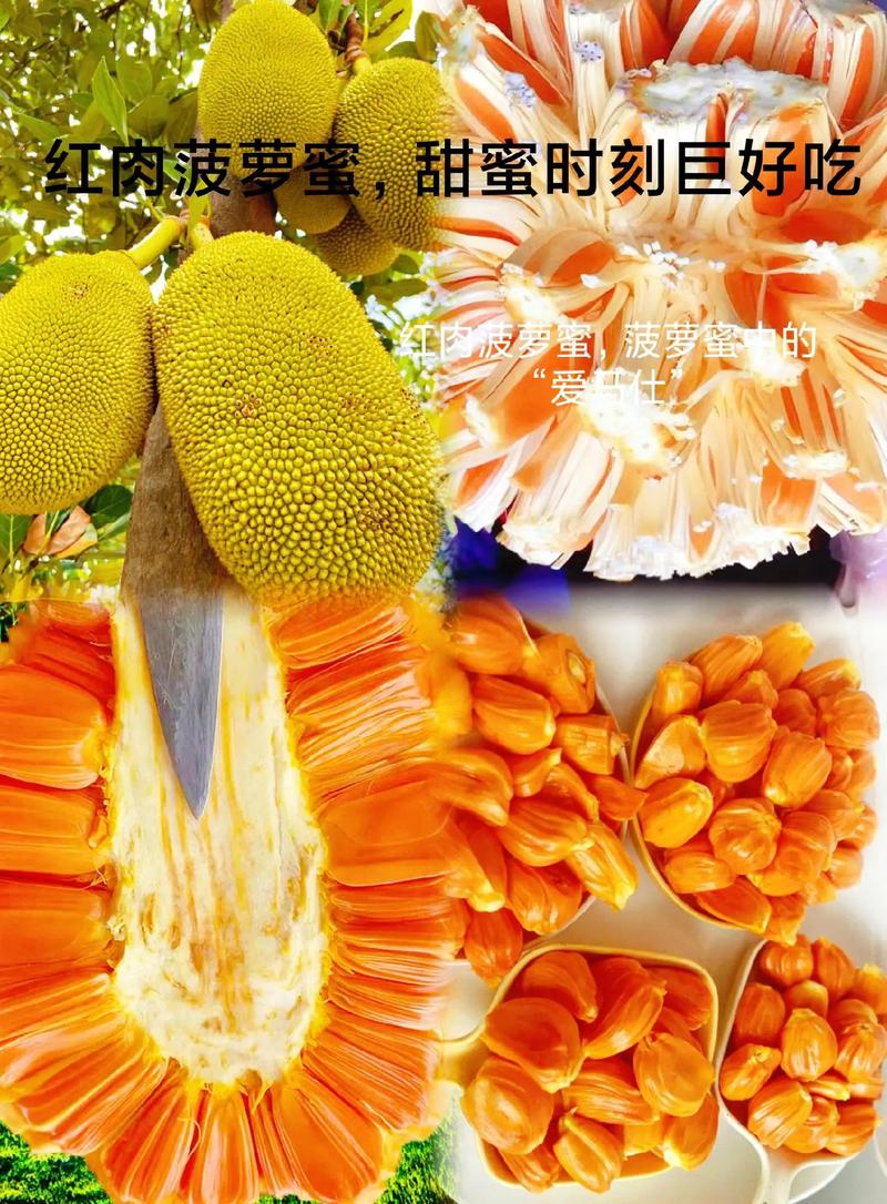 详细阅读:菠萝蜜醋:独特风味与丰富内涵的完美邂逅 菠萝蜜醋:独特风味与丰富内涵的完美邂逅