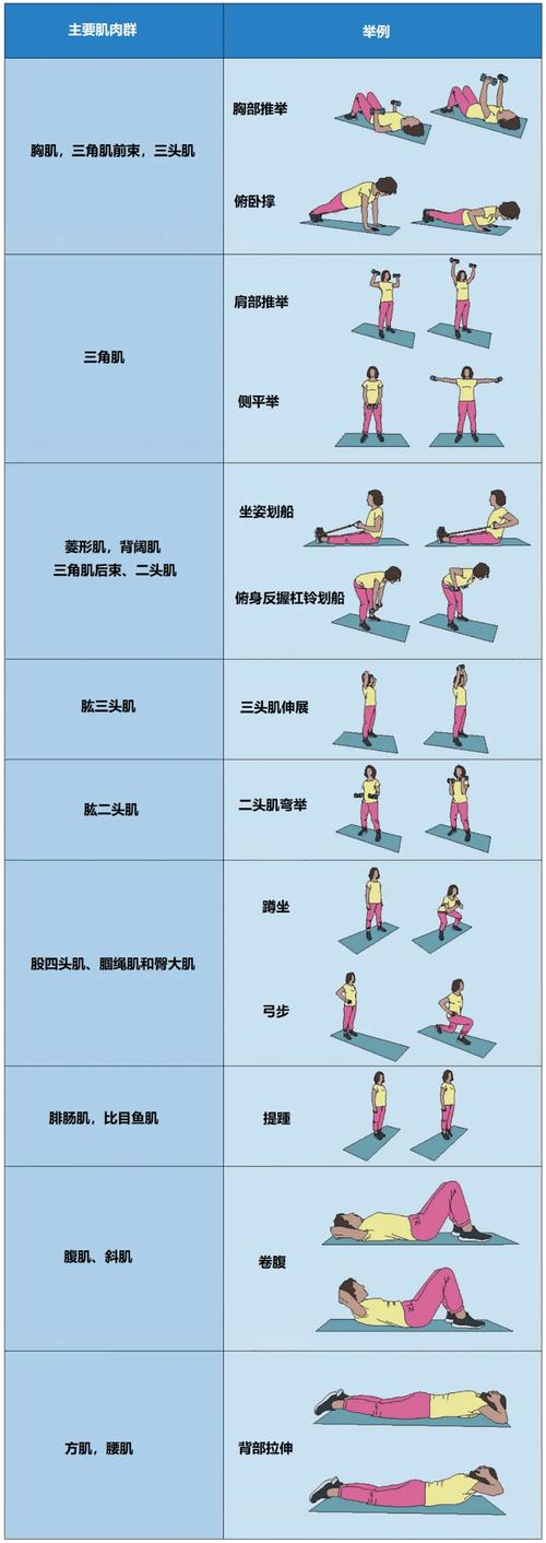 运动与身体协调性的深度剖析