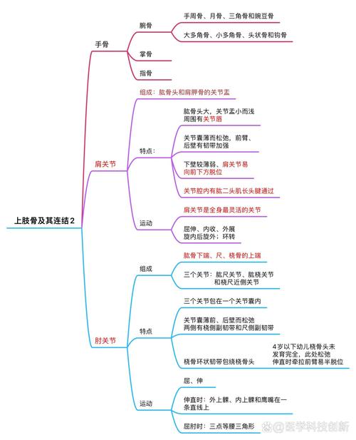 运动与身体运动区块链技术应用的关系