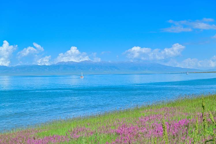 西宁青海湖自驾：领略高原圣湖的绝美风光与文化底蕴