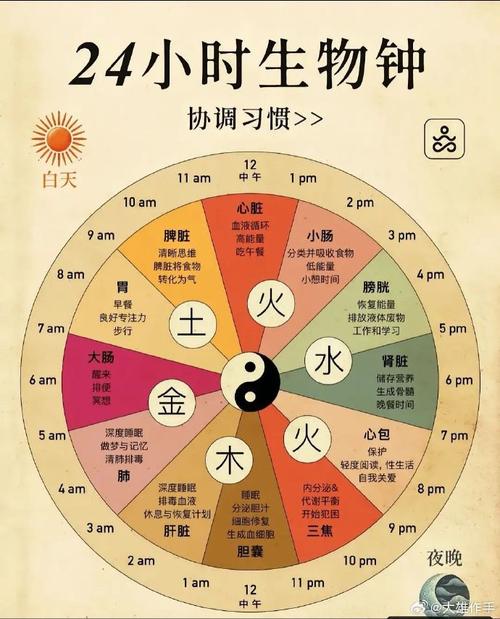 生物钟与美容的奇妙联系
