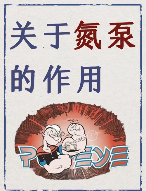 氮泵：原理、应用与未来发展