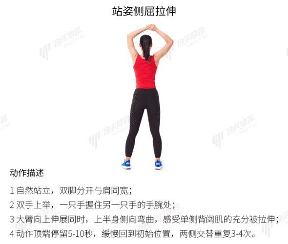 动态拉伸：解锁身体柔韧性与活力的密码