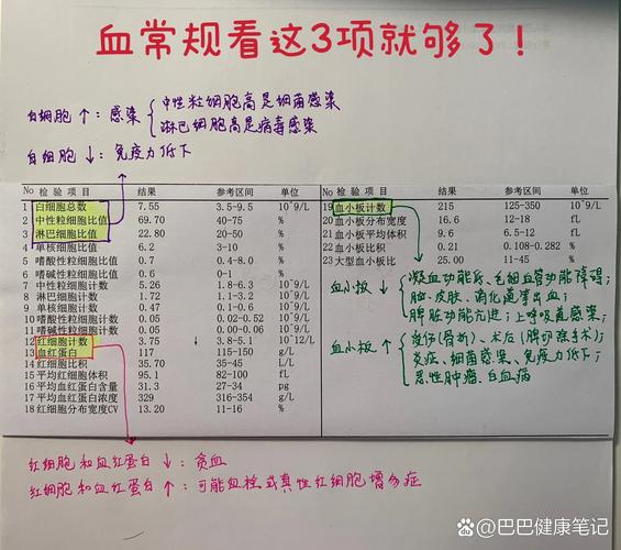 血常规检查：解读血液中的健康密码