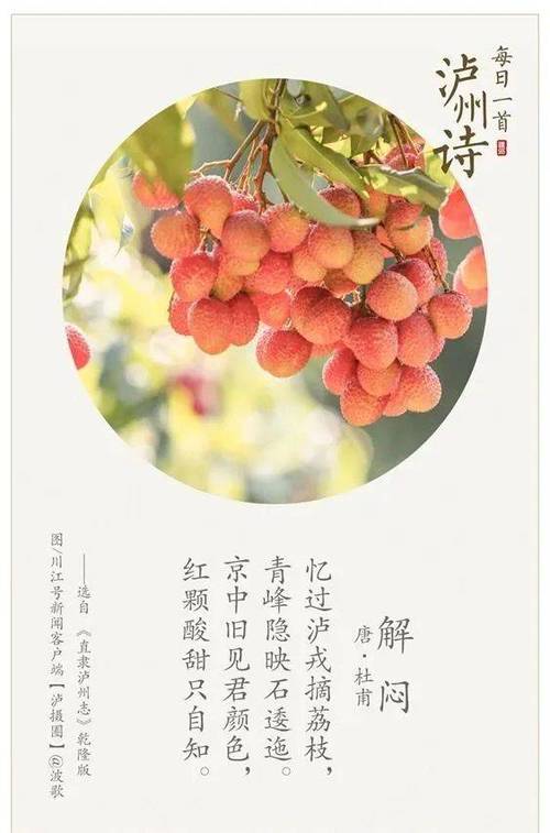 荔枝：从古至今的文化符号与生活情韵